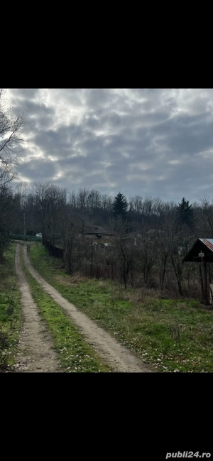 Teren Intravilan 5000mp, 25km de Craiova - imagine 4