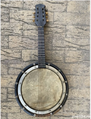proiect banjo - banjolina