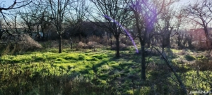 Vanzare Teren Intravilan 1312 mp + Casuta si alte anexe, sat. Limpezis, BUZAU