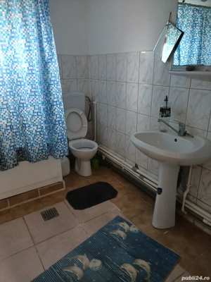 Vând casa în Padureni - imagine 6