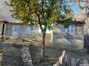 Vand casa Reghiu - imagine 5