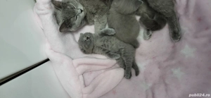 Bond si Bety - imagine 2