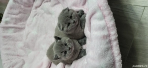 Bond si Bety - imagine 5