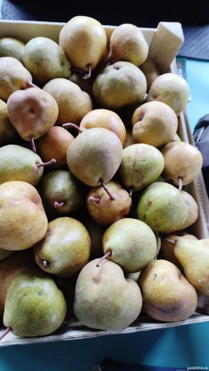 Vand palinca de pere productie 2023