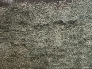 Vând baloți lucernă 2025