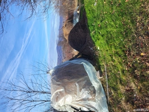 vand fan pt animale,campina prahova - imagine 3