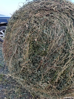 de vânzare baloti de fân si mohor+lucernă