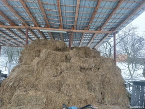 Vînd Baloți Satu nou de jos 