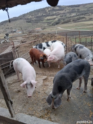 De vanzare  - imagine 3