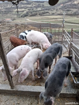 De vanzare  - imagine 5