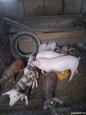 De vanzare  - imagine 2