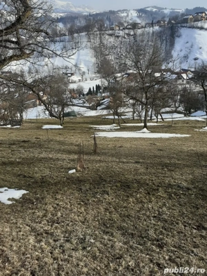 Teren Moieciu de Jos - imagine 7