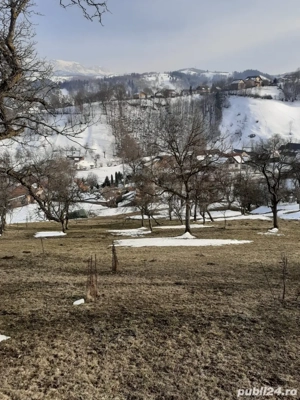 Teren Moieciu de Jos - imagine 8