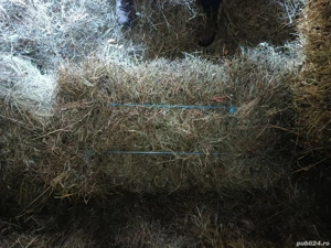 Baloți de iarbă  - imagine 5