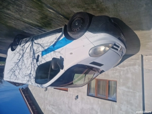 vand duba  - imagine 2