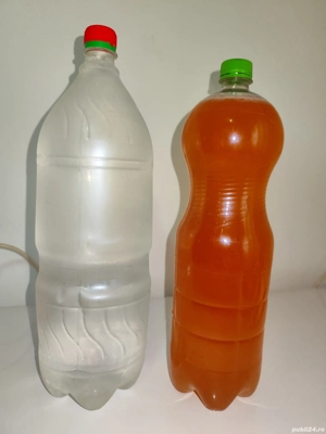 vin și țuică (rachiu) 