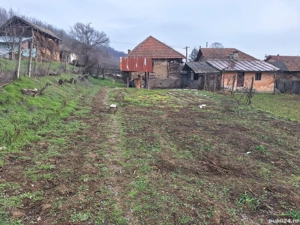 Casa de vanzare si multe articole artizanale - imagine 8