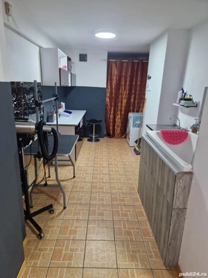 Inchiriez salon frizerie canina ..utilat.. - imagine 5