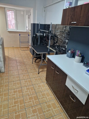 Inchiriez salon frizerie canina ..utilat.. - imagine 4