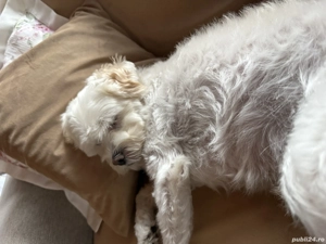 Apartament cu 3 camere de vânzare 