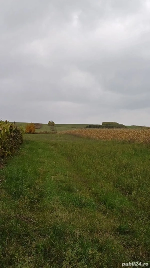 teren de vanzare 4800m 