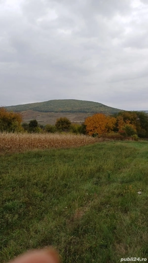 teren de vanzare 4800m  - imagine 2