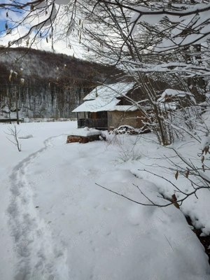 Vand cabana, casa la munte - imagine 8