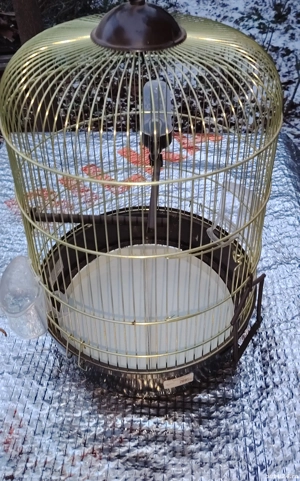 Colivie     noua - imagine 2