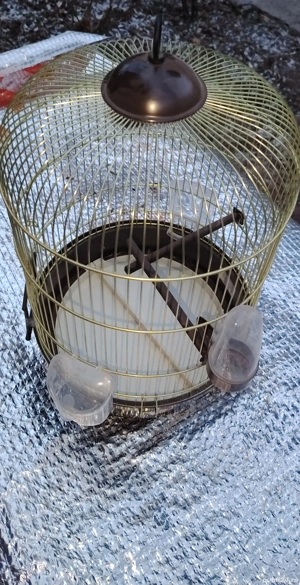 Colivie     noua - imagine 4