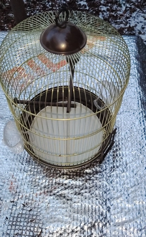 Colivie     noua - imagine 5