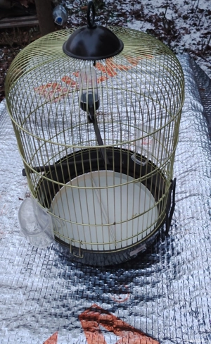 Colivie     noua - imagine 3