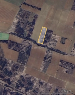Teren extravilan de vanzare – Dealul Viilor, Biharia | 3000 mp - imagine 2