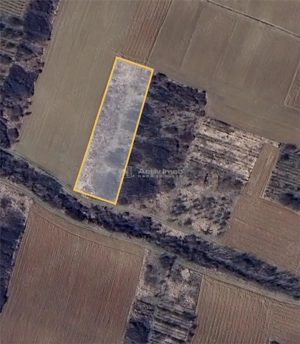 Teren extravilan de vanzare – Dealul Viilor, Biharia | 3000 mp