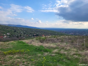 Teren intravilan 3600 mp Valea Domneasca, Ghioroc - imagine 3