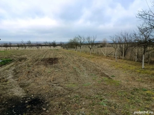 Teren intravilan 2000 mp, front 23m   Cliciova, jud. Timiș - imagine 3