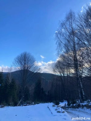 vand 2 terenuri intravilane si proiect locuinta mobila - imagine 7