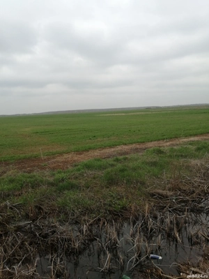 teren agricol com Marșa jud Giurgiu.