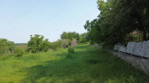 Teren 4800 mp cu Livada si Casa Nefinalizata - Adancata! - imagine 9