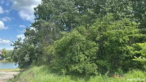 Teren intravilan in Corbeanca (sat Tamasi) - langa lac si padure, in apropierea Paradisului Verde  - imagine 2