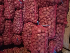 Vand cartofi consum rosu si alb