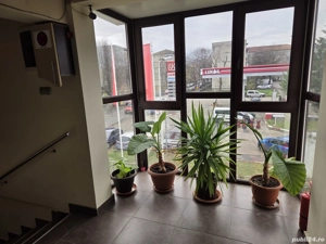 Salon, Birou,Sala Curs