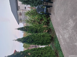 vila de inchiriat - imagine 8