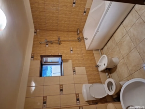 vila de inchiriat - imagine 6