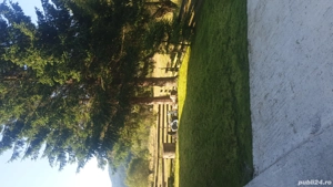 Vand casa de vacanta - imagine 2