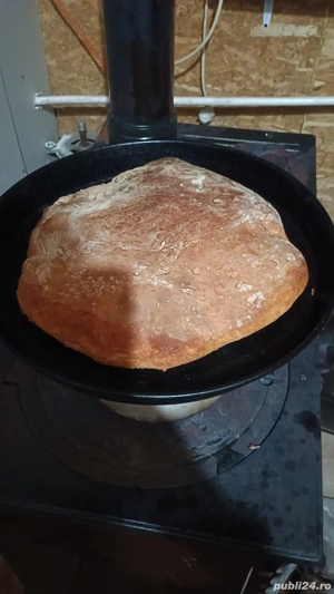 Vand casa de vacanta - imagine 8