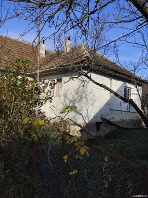 Casa de vacanta de vanzare in Cosdeni - imagine 9