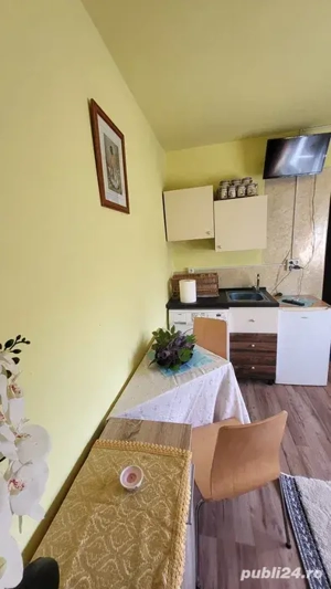 Garsoniera decenta confort 3 Vlaicu Fortuna etaj 2  - imagine 2