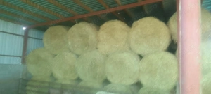 Baloti  rotunzi paie de grau 70-90 ro buc