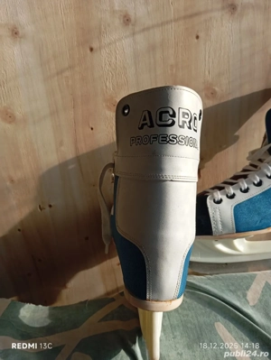 Patine profesionale ARCO