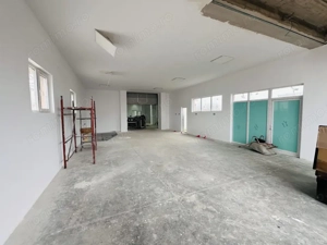 Hala industriala Sos Alexandria stradala 350 mp, 1200 mp parcare - imagine 6